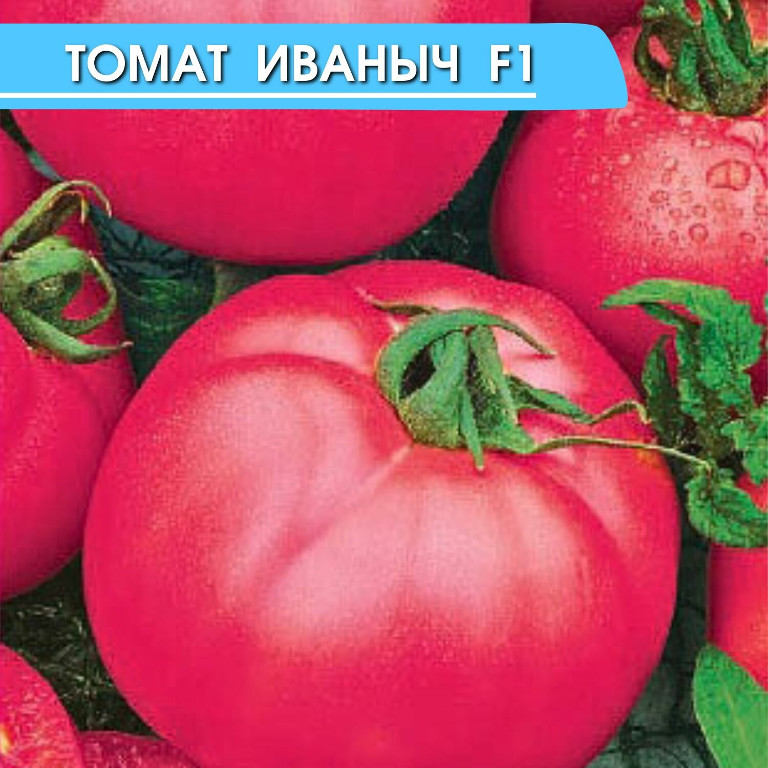 Семена Томат Иваныч F1 (1 упаковка)