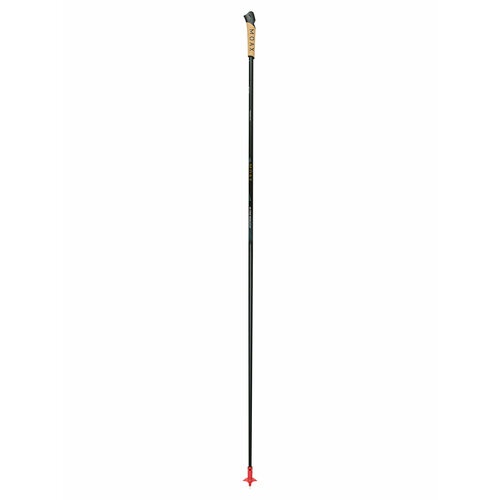Лыжные палки MOAXSPORT M1 Star Worldcup, 165 см, черный