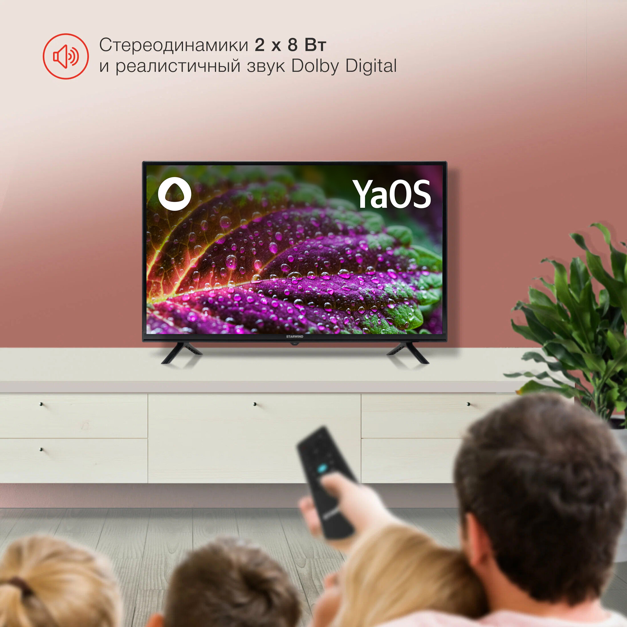 Телевизор Starwind Яндекс.ТВ SW-LED32SG304, 32", LED, HD, Яндекс.ТВ, черный - фото №3