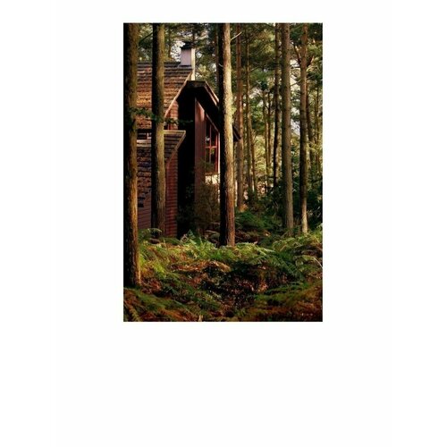 Обогрев настенный Лес 108000₽