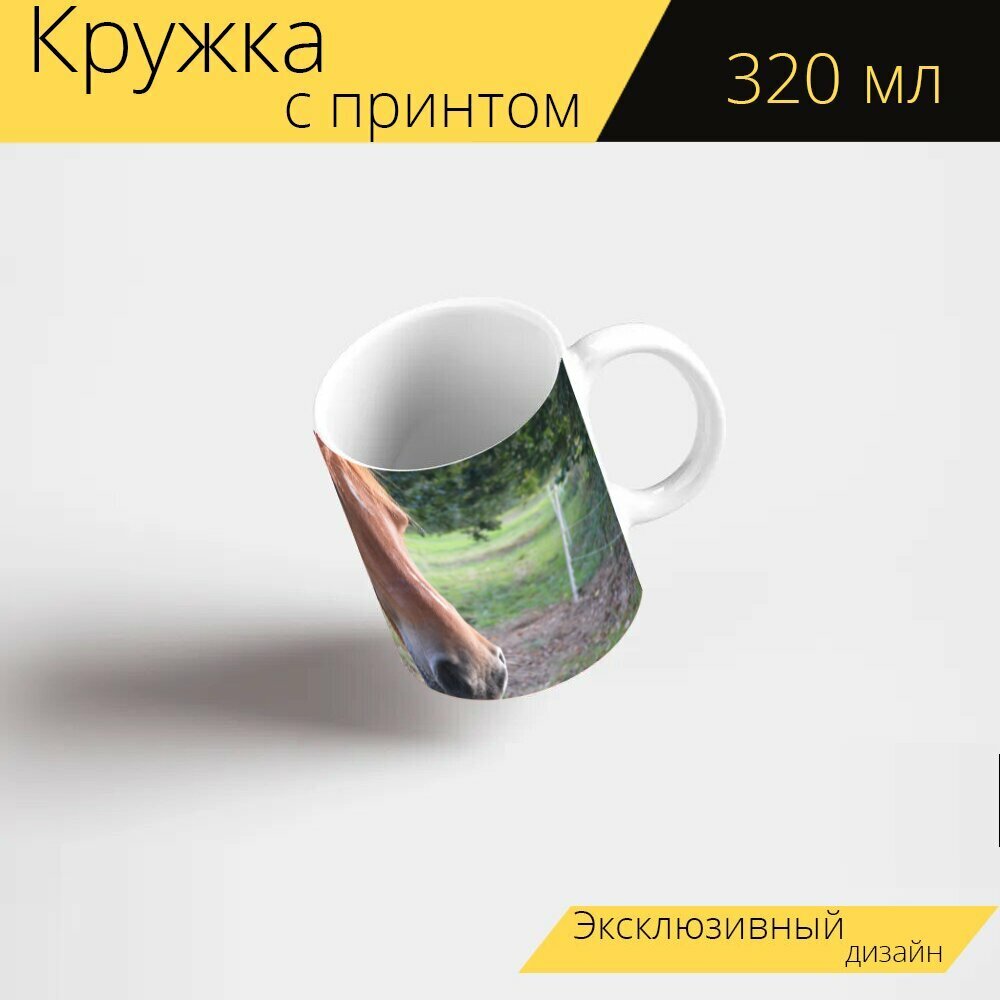 Кружка с рисунком, принтом "Лошадь, кобыла, племенная кобыла" 320 мл.