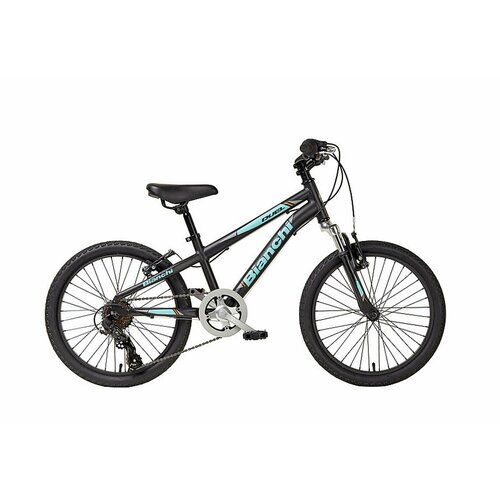 фото Велосипед bianchi junior duel 20" boy 6sp (велосипед bianchi junior duel 20" boy 6sp черный (ynb5kc28he))