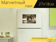 Магнитный пазл "Кот, котенок, кошачий" на холодильник 27 x 18 см.