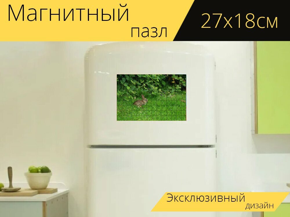 Магнитный пазл "Природа, дикий, дикий кролик" на холодильник 27 x 18 см.