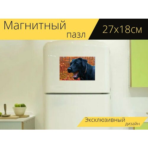 Магнитный пазл Собака, зевать, домашний питомец на холодильник 27 x 18 см. магнитный пазл пшеничный терьер собака домашний питомец на холодильник 27 x 18 см