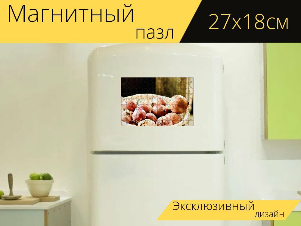 Магнитный пазл "Лук, овощ, еда" на холодильник 27 x 18 см.