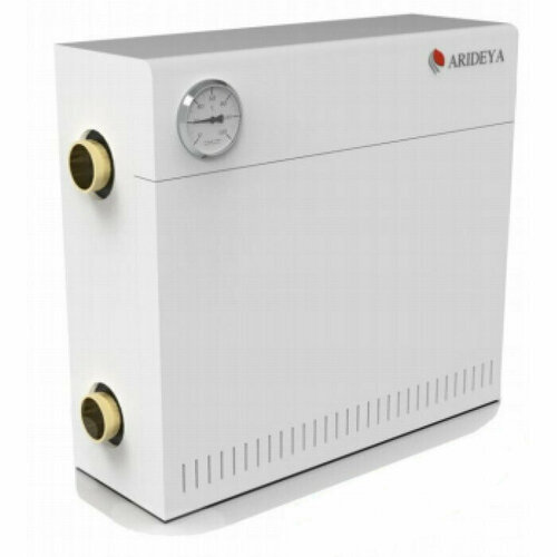 Парапетный газовый котел Arideya КС-ГВС-10 4830000₽