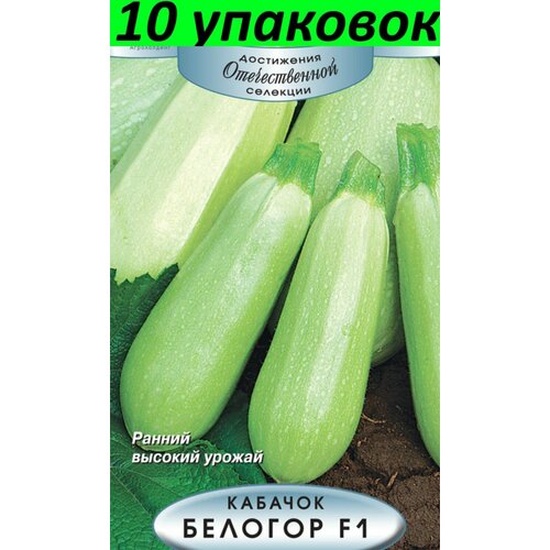 Семена Кабачок Белогор F1 белый 10уп по 12шт (Поиск) семена кабачок белогор 12шт