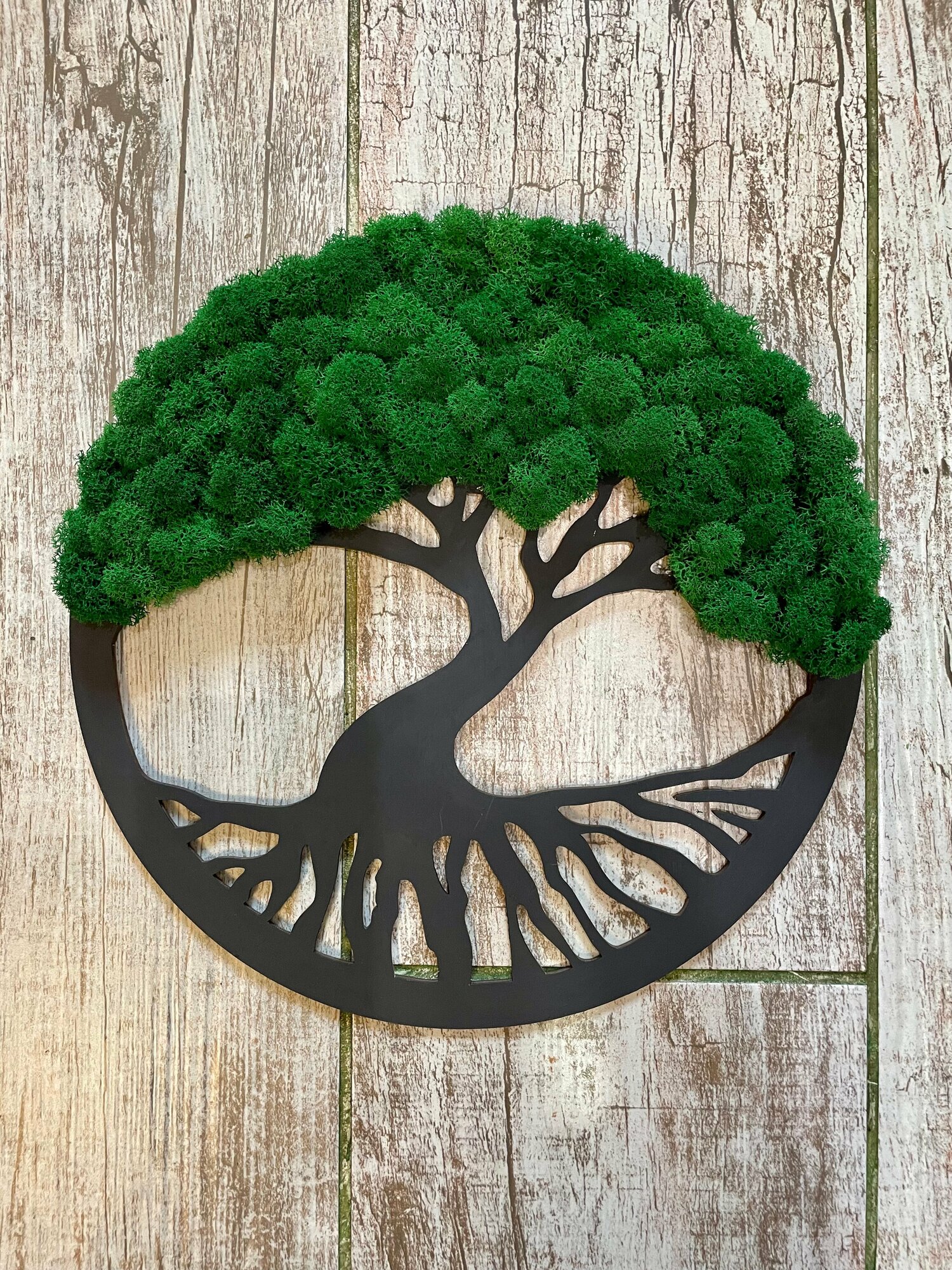 Картина/панно Дерево жизни, стабилизированный мох, диаметр 30 см