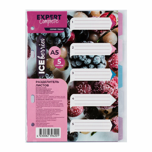Expert Complete Trend ICEberries Разделитель листов пластиковый A5 5 шт. EC270020202 лён ассорти