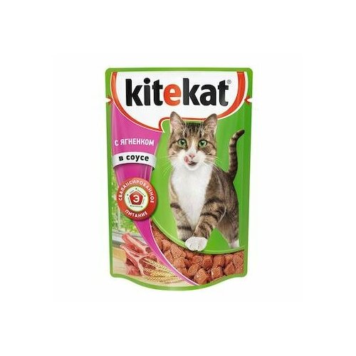 KiteKat Китикет паучи для кошек рагу с ягнёнком в соусе 28 х 85 гр корм для кошек kitekat ягненок в соусе пауч 85г