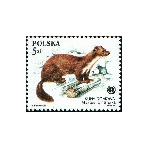 (1984-051) Марка Польша Каменная куница Защищенные пушные животные II Θ 1966 006 марка монголия каменная куница пушные звери iii θ