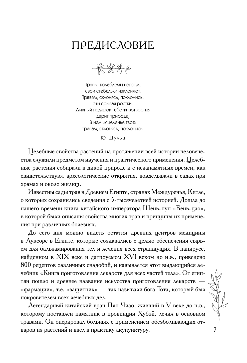 Аптечка в огороде. Выращивание, сбор и применение целебных растений - фото №8