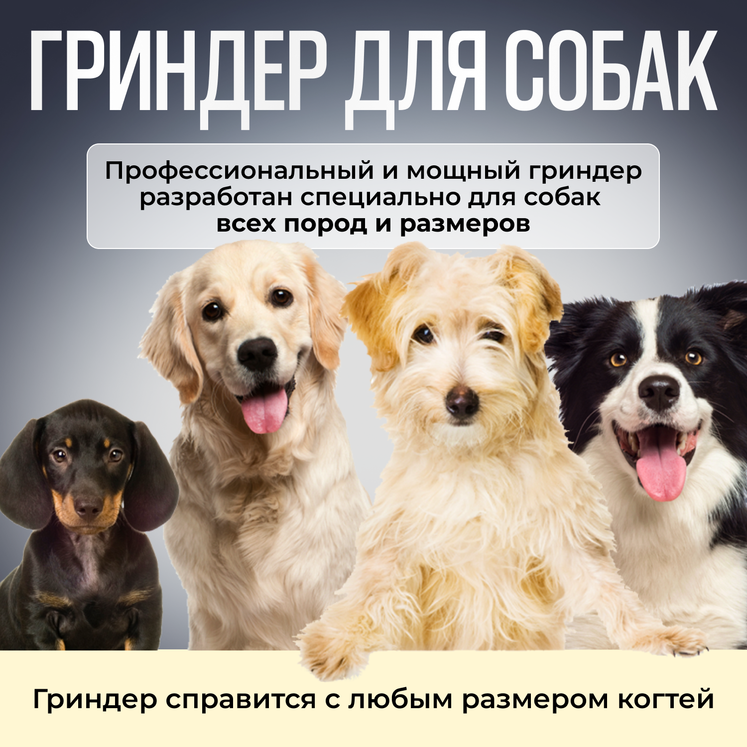 Мощный профессиональный когтерез-гриндер Alter Dog для собак и котов - фотография № 2