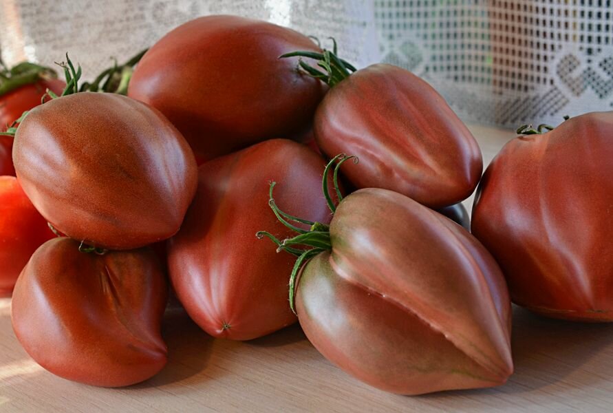 Коллекционные семена томата Гном Альмандин