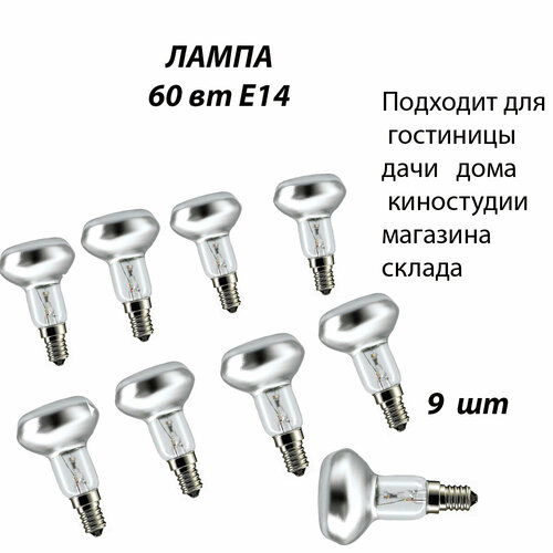 Лампа R50 230-60 E14 9 шт для гаража, кладовки, гостиницы, для дачи дома магазина, музея для светильников в навесных потолках