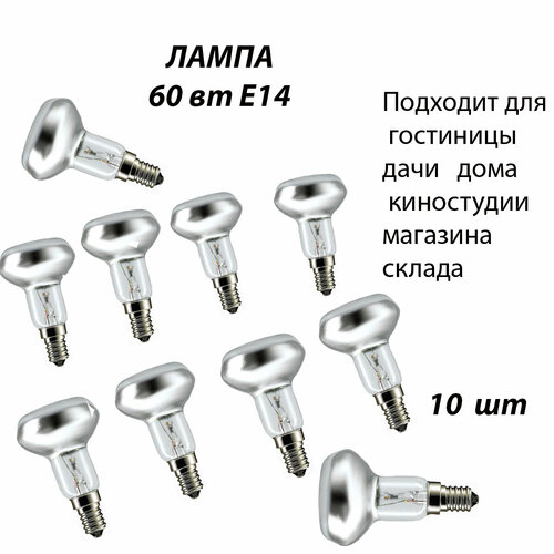 Лампа R50 230-60 E14 10 шт Для киностудии, Для магазина, Для образовательных учреждений, Для музея и выставочного зала, Для предприятий и складов,