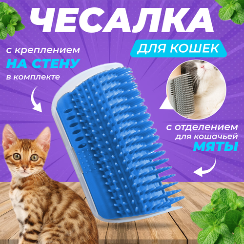 Чесалка для кошек (щетка) угловая, с кошачьей мятой, синий, Master-Pokupok