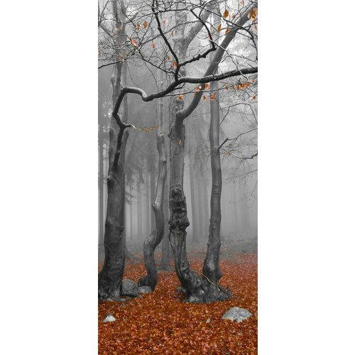 Самоклеящиеся фотообои 