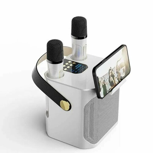 Беспроводная колонка с караоке Koleer S882 10WTFUSB 440000₽