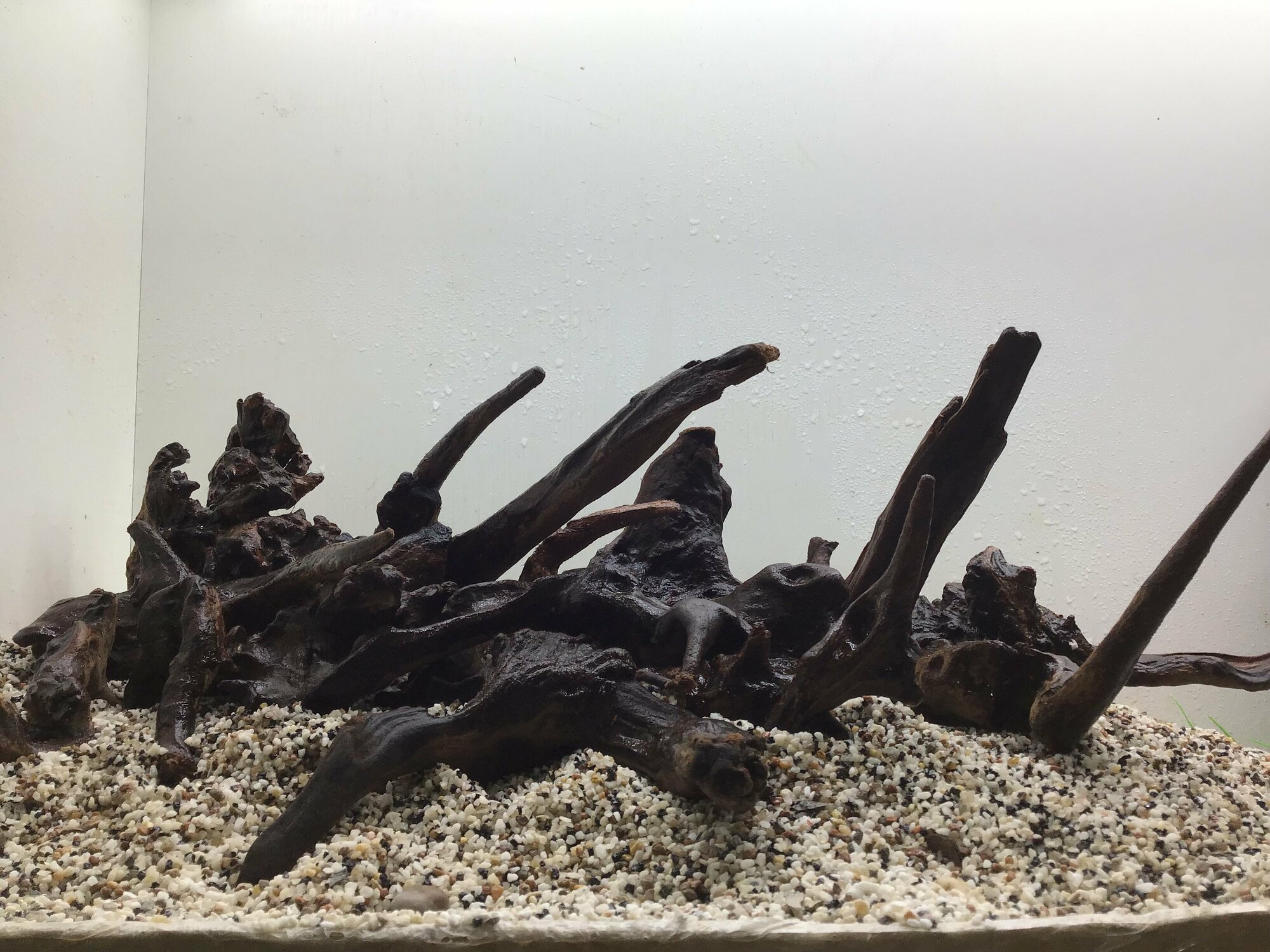 Декор аквариумные набор коряга мангровая 10-25см лот 001