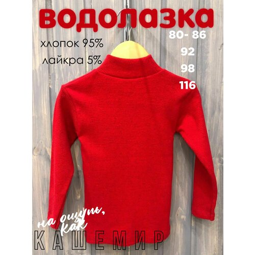 фото Водолазка , размер 92, красный турция детям