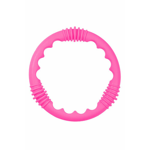 Игрушка Diving ring