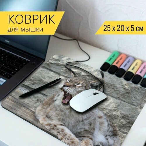 Коврик для мыши с принтом Рысь, животное, природа 25x20см. коврик для мыши с принтом рысь лес природа 25x20см