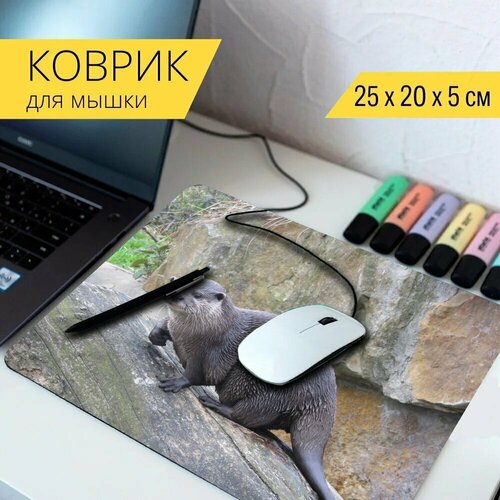 Коврик для мыши с принтом Выдра, мокрый, шерсть 25x20см.