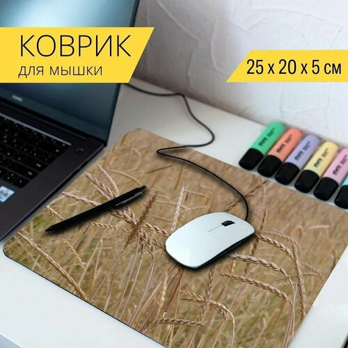 Коврик для мыши с принтом Пишется, зерно, triticum aestivum 25x20см. коврик для мыши с принтом пишется зерно triticum aestivum 25x20см