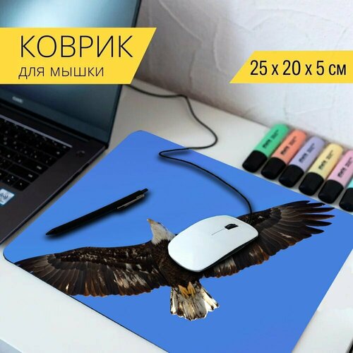 Коврик для мыши с принтом Орел, птица, крыло 25x20см.