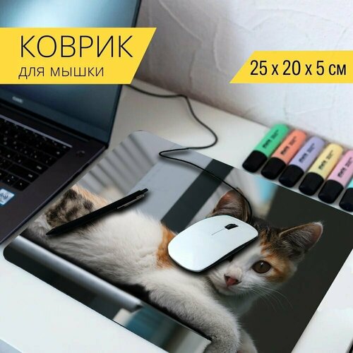 Коврик для мыши с принтом Кошка, бездомная кошка, кот 25x20см. коврик для мыши с принтом кошка кот feline 25x20см