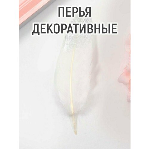 Перья для декора, серебро частичная окраска , 13-15 см 10 шт