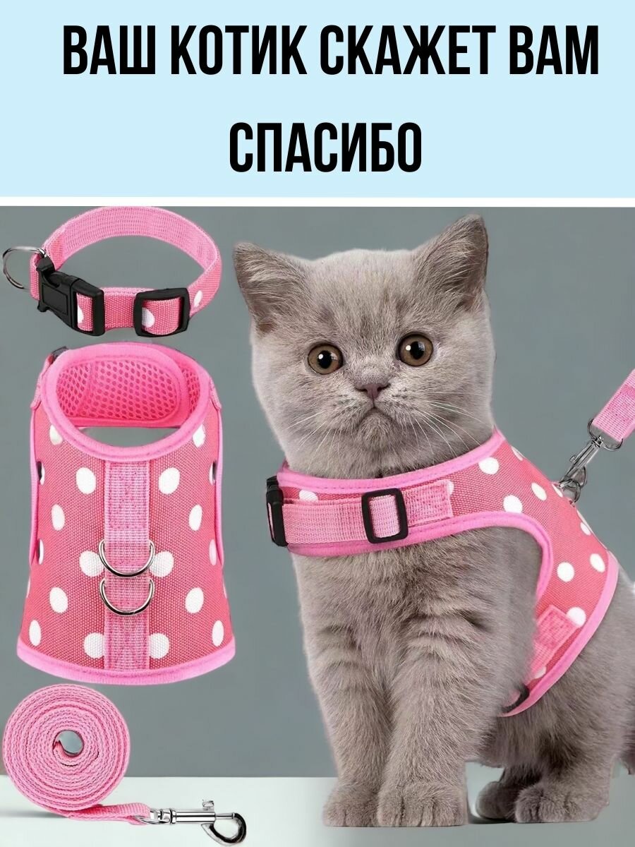 Шлейка для кошек, розовая XS - фотография № 9