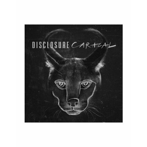 виниловая пластинка disclosure settle 0602537394883 0602435436326, Виниловая пластинка Disclosure, Caracal