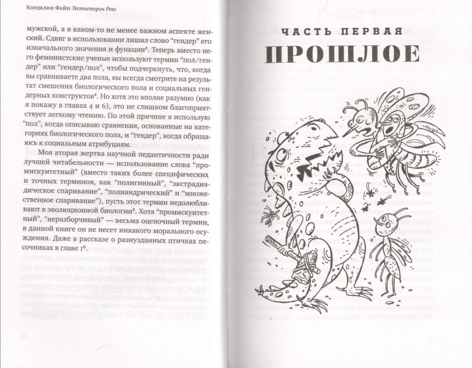 Тестостерон РЕКС. Мифы и правда о гендерном сознании - фото №4