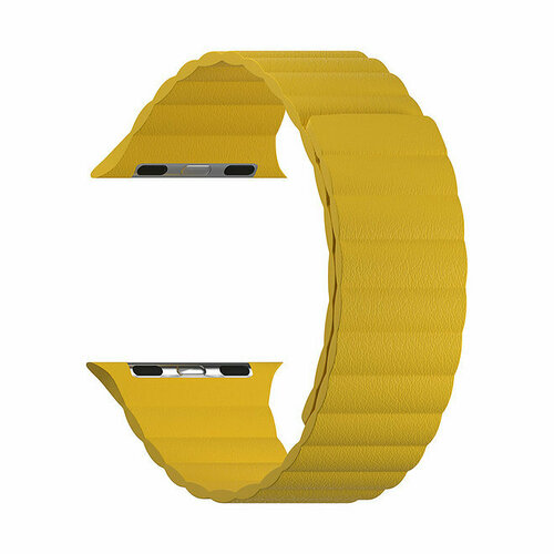 Ремешок Lyambda Pollux для Apple Watch 38-41 мм Yellow ремешок lyambda meridiana 38mm черный белый