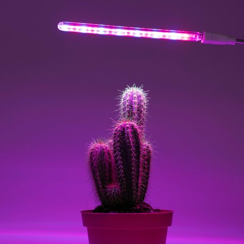 Фитолампа для растений, светильник для рассады 5Вт, лампа для растений