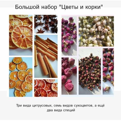 Большой набор сухоцветов 