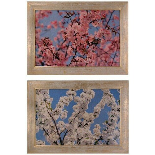 Товары для дома 