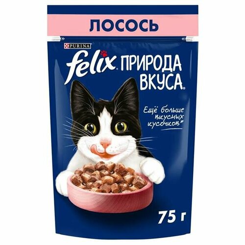 Felix Природа вкуса пауч консервы для взрослых кошек, с лососем 26х75г felix sensations пауч консервы в удивительном соусе для кошек утка с морковью 26х75г