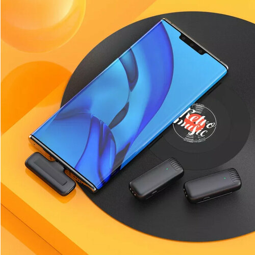 Микрофон беспроводной петличный Rapture Blog J-11 2X Type-C 2 беспроводных микрофона для смартфона планшета экшн-камеры ноутбука 299000₽