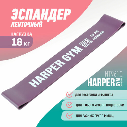 Эспандер замкнутый Harper Gym Pro Series NT961Q 50*5*0.125 см (нагрузка 18кг )