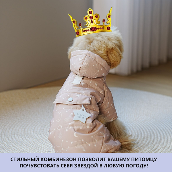 Комбинезон для собак мелких и средних пород, цвет бежевый, размер L - фотография № 11