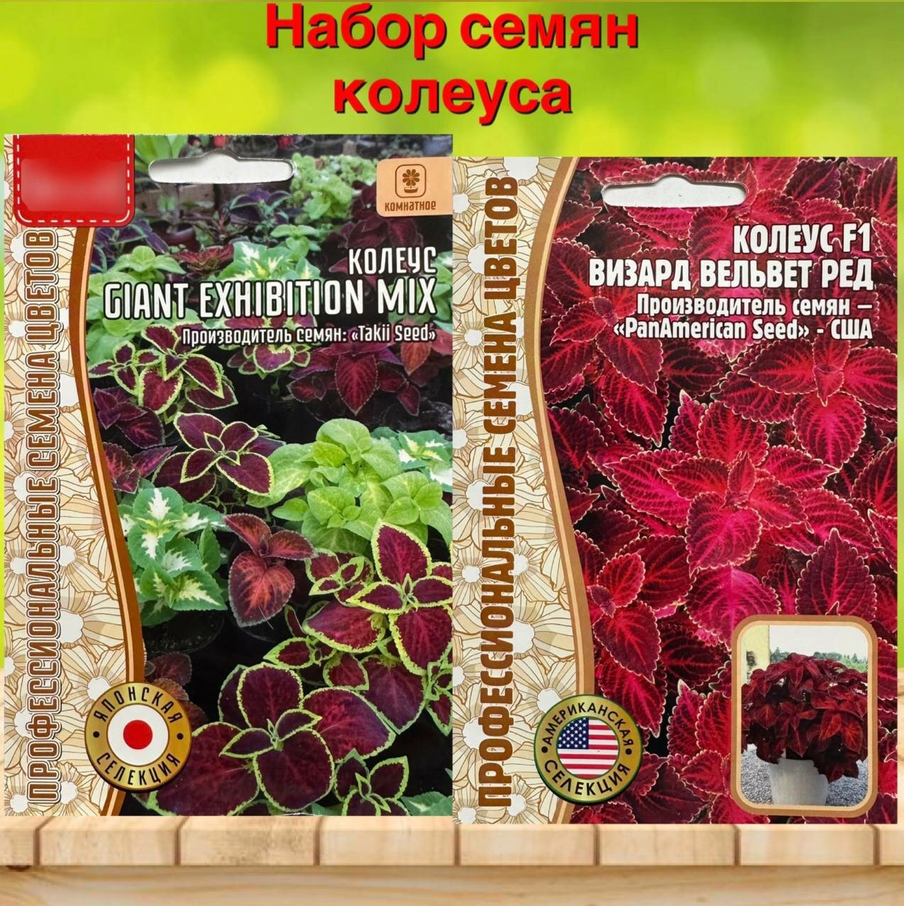 Семена растения колеус набор 2 упаковки