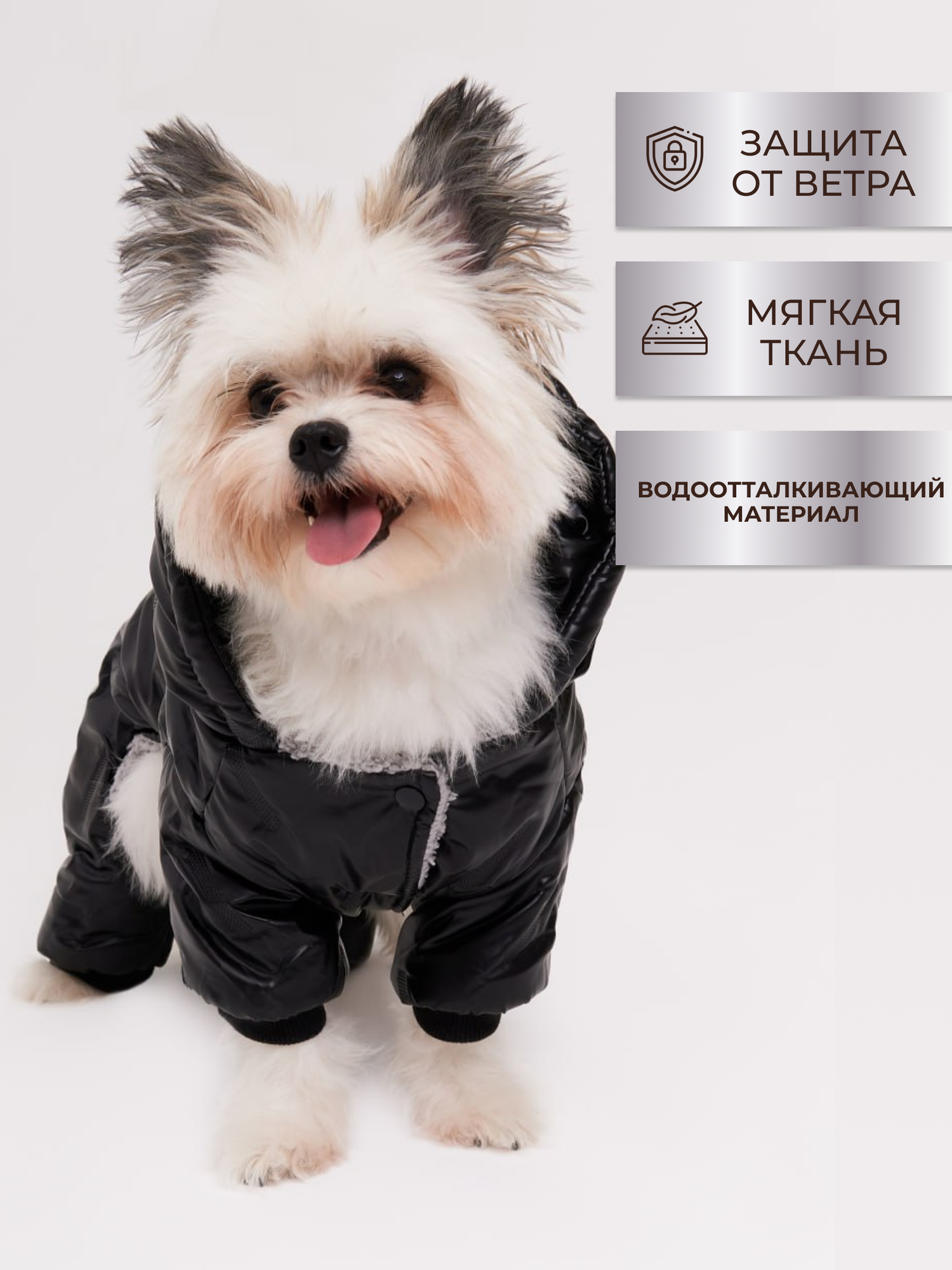фото Комбинезон для собак мелких пород утепленный