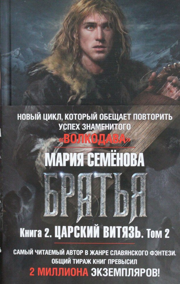 Братья. Книга 2. Царский витязь. Том 2 - фото №5