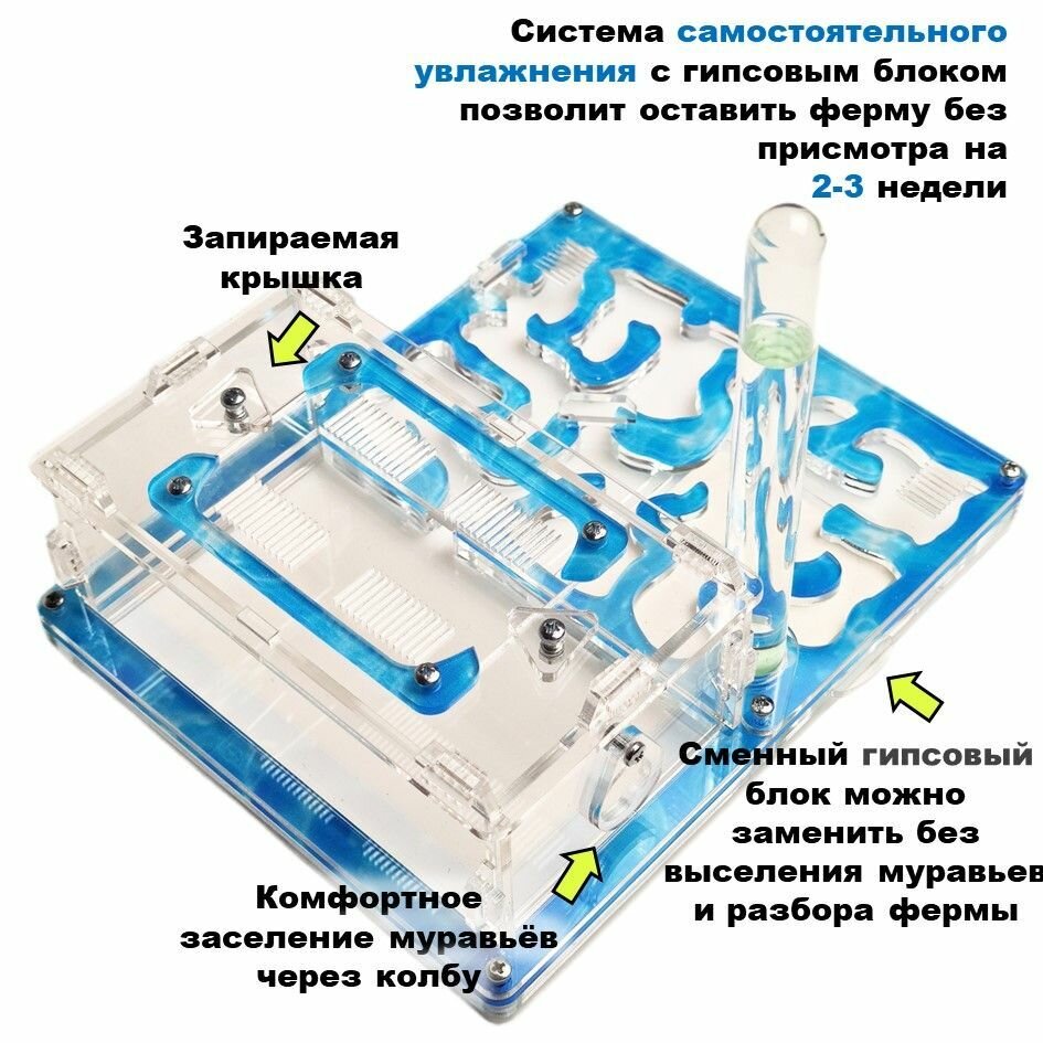 Средняя муравьиная ферма "Вода" 20x16 basic - фотография № 3