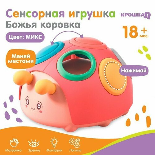 крошка я развивающая сенсорная игрушка божья коровка цвет микс Развивающая, сенсорная игрушка «Божья коровка», цвет микс, Крошка Я (комплект из 4 шт)