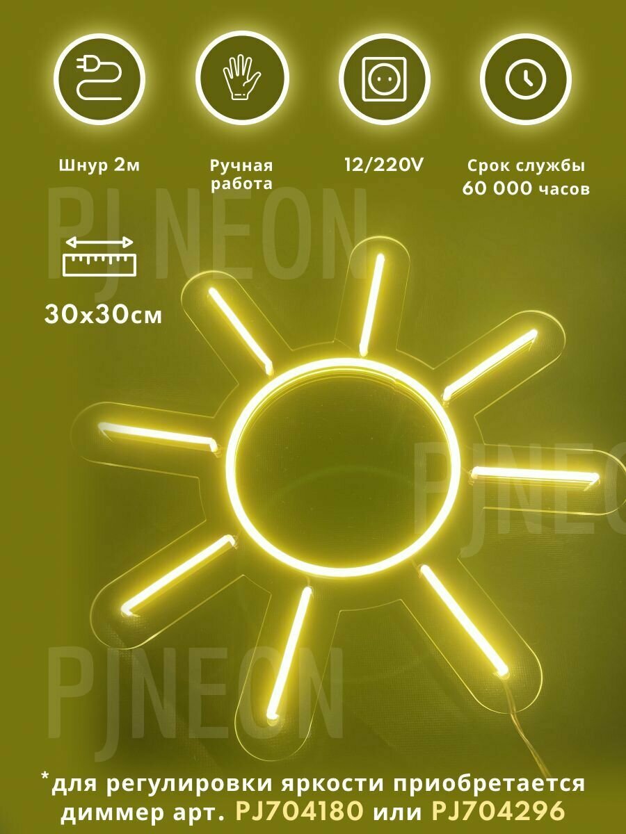 Светодиодный неоновый светильник PJ Neon Солнце, 30х30 см, неоновая вывеска